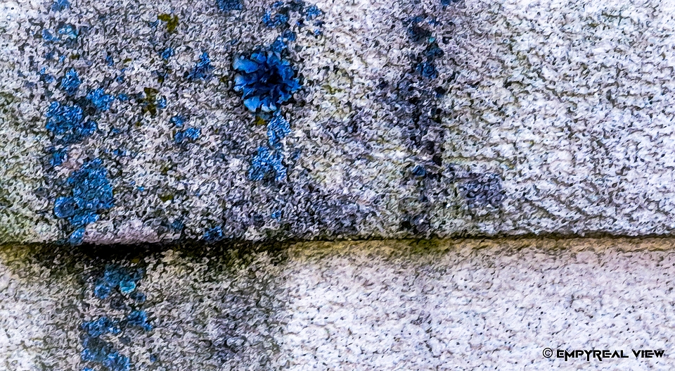 image60